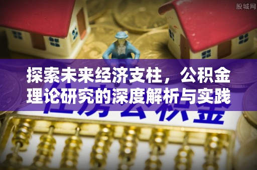 湛河探索未来经济支柱，公积金理论研究的深度解析与实践意义