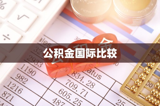湛河公积金国际比较