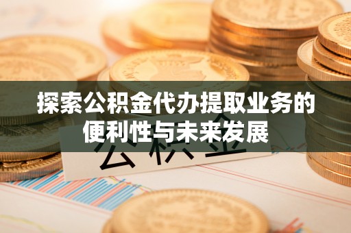 湛河探索公积金代办提取业务的便利性与未来发展