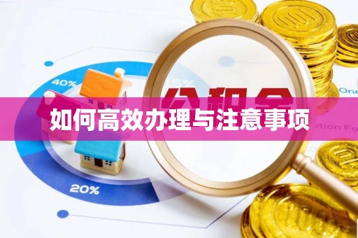 湛河如何高效办理与注意事项