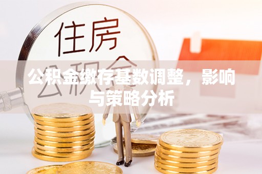 湛河公积金缴存基数调整，影响与策略分析