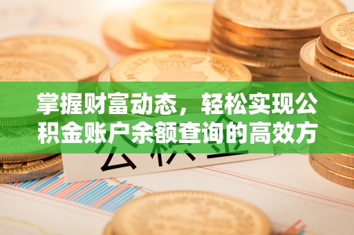 湛河掌握财富动态，轻松实现公积金账户余额查询的高效方法