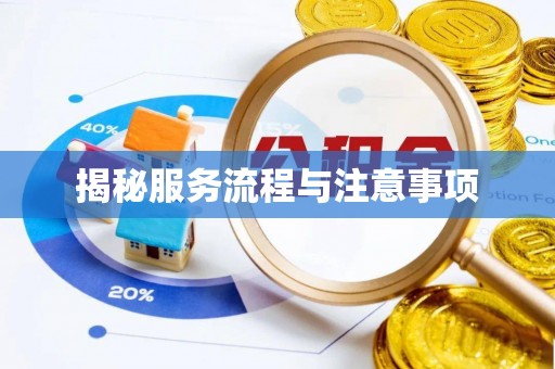 湛河揭秘服务流程与注意事项