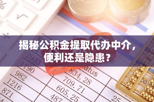 湛河揭秘公积金提取代办中介，便利还是隐患？
