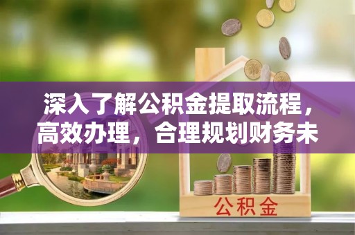 湛河深入了解公积金提取流程，高效办理，合理规划财务未来