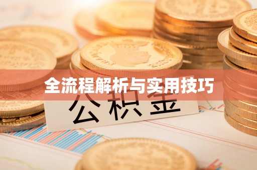 湛河全流程解析与实用技巧