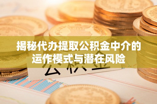 湛河揭秘代办提取公积金中介的运作模式与潜在风险
