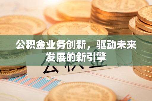 湛河公积金业务创新，驱动未来发展的新引擎
