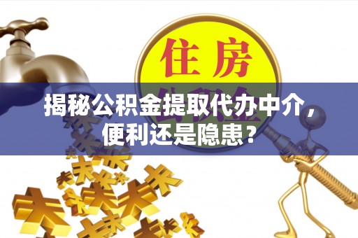 湛河揭秘公积金提取代办中介，便利还是隐患？