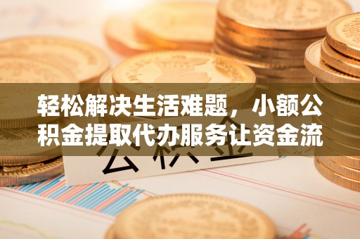 湛河轻松解决生活难题，小额公积金提取代办服务让资金流动更便捷