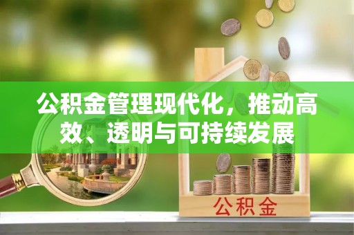 湛河公积金管理现代化，推动高效、透明与可持续发展