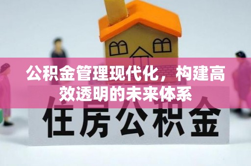 湛河公积金管理现代化，构建高效透明的未来体系