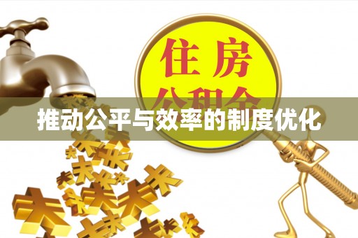 湛河推动公平与效率的制度优化