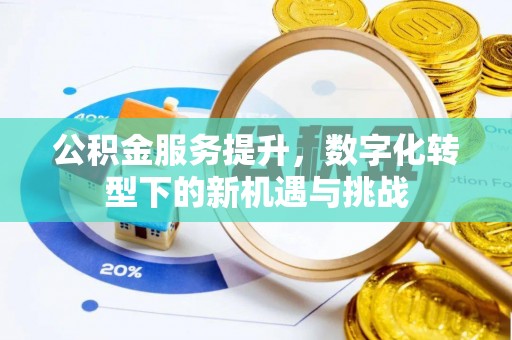 湛河公积金服务提升，数字化转型下的新机遇与挑战