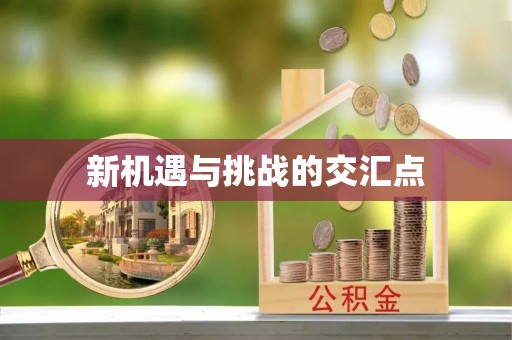 湛河新机遇与挑战的交汇点