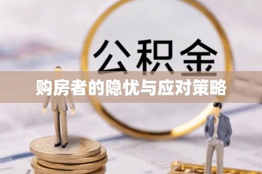 湛河购房者的隐忧与应对策略