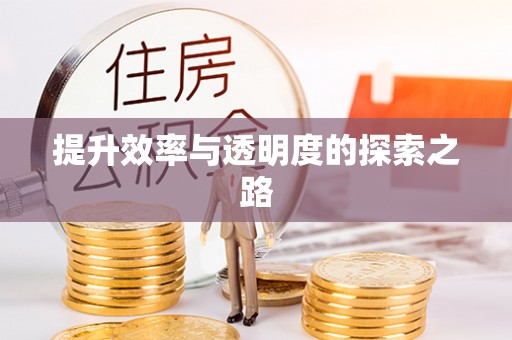 湛河提升效率与透明度的探索之路