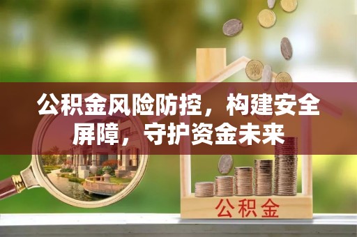 湛河公积金风险防控，构建安全屏障，守护资金未来