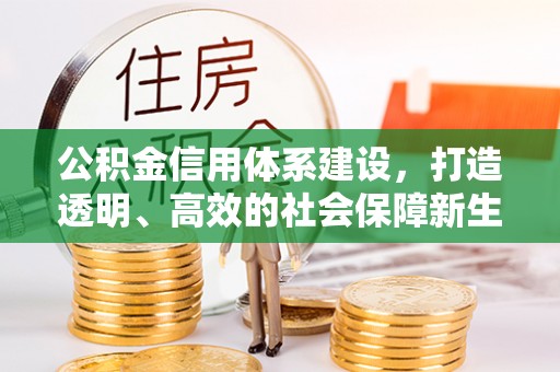 湛河公积金信用体系建设，打造透明、高效的社会保障新生态