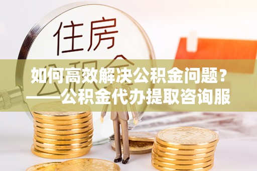 湛河如何高效解决公积金问题？——公积金代办提取咨询服务指南