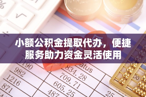 湛河小额公积金提取代办，便捷服务助力资金灵活使用