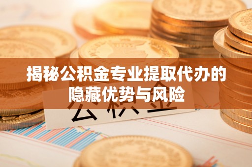 湛河揭秘公积金专业提取代办的隐藏优势与风险