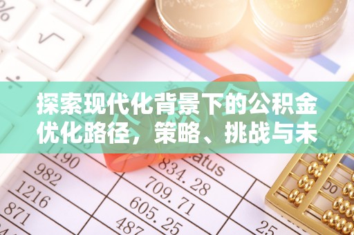 湛河探索现代化背景下的公积金优化路径，策略、挑战与未来展望