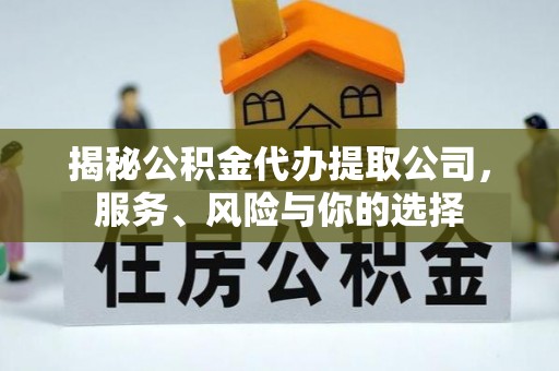 湛河揭秘公积金代办提取公司，服务、风险与你的选择
