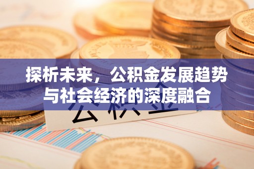 湛河探析未来，公积金发展趋势与社会经济的深度融合