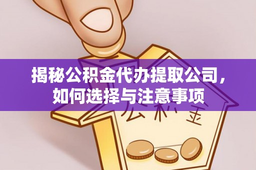 湛河揭秘公积金代办提取公司，如何选择与注意事项