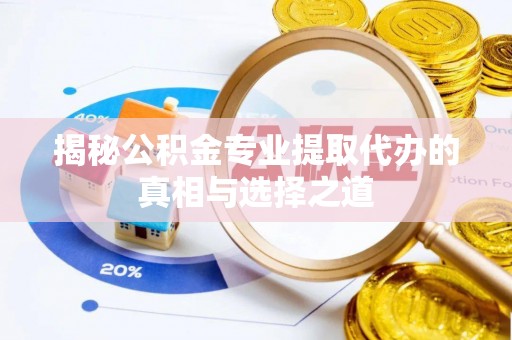 湛河揭秘公积金专业提取代办的真相与选择之道