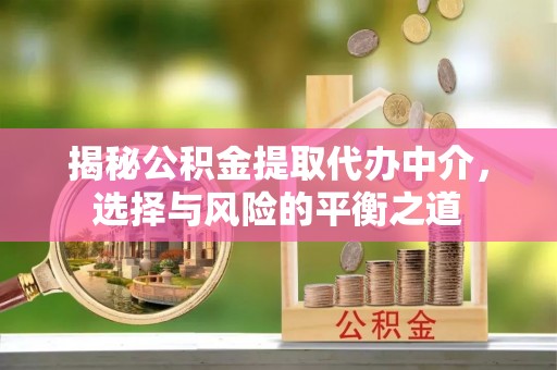 湛河揭秘公积金提取代办中介，选择与风险的平衡之道