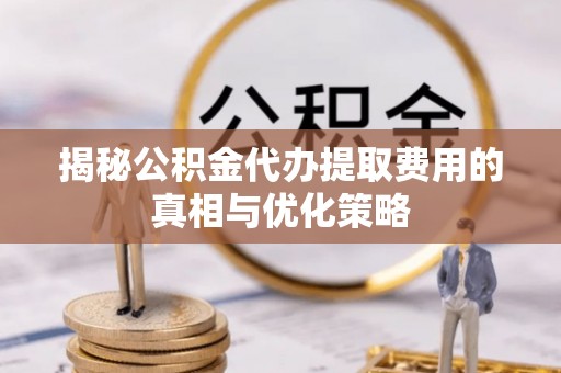 湛河揭秘公积金代办提取费用的真相与优化策略