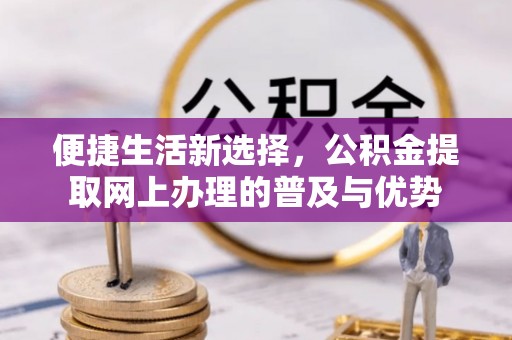 湛河便捷生活新选择，公积金提取网上办理的普及与优势