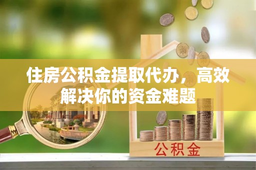湛河住房公积金提取代办，高效解决你的资金难题
