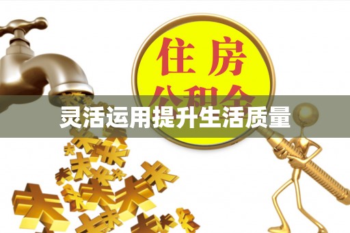 湛河灵活运用提升生活质量