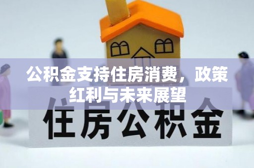 湛河公积金支持住房消费，政策红利与未来展望