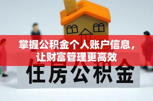 湛河掌握公积金个人账户信息，让财富管理更高效