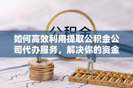 湛河如何高效利用提取公积金公司代办服务，解决你的资金难题
