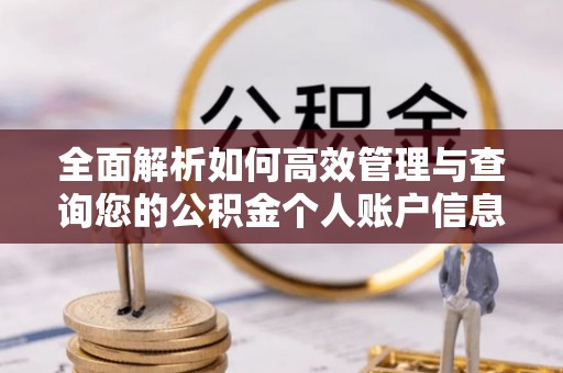 湛河全面解析如何高效管理与查询您的公积金个人账户信息