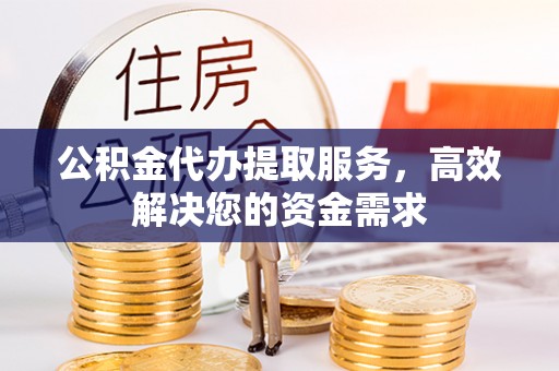 湛河公积金代办提取服务，高效解决您的资金需求