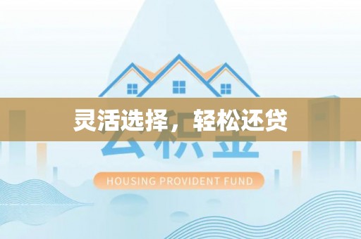 湛河灵活选择，轻松还贷