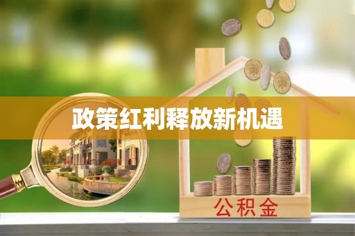 湛河政策红利释放新机遇