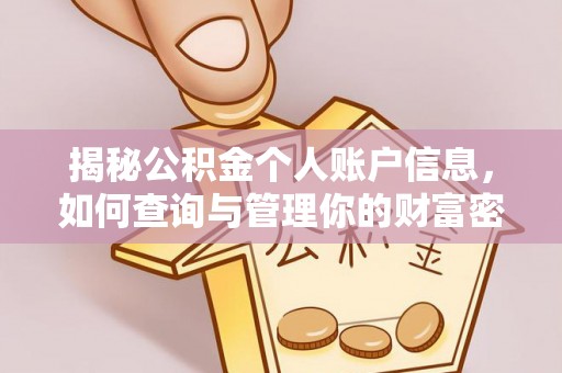 湛河揭秘公积金个人账户信息，如何查询与管理你的财富密码
