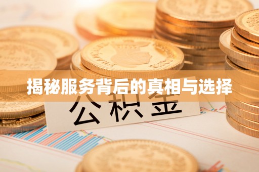 湛河揭秘服务背后的真相与选择