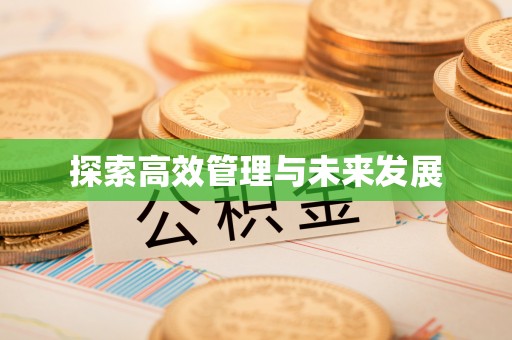 湛河探索高效管理与未来发展