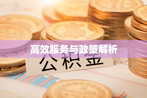 湛河高效服务与政策解析