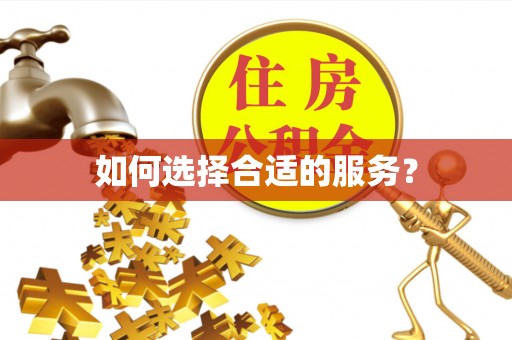 湛河如何选择合适的服务？