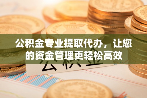 湛河公积金专业提取代办，让您的资金管理更轻松高效