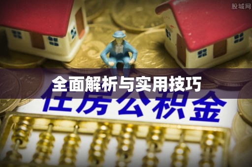 湛河全面解析与实用技巧